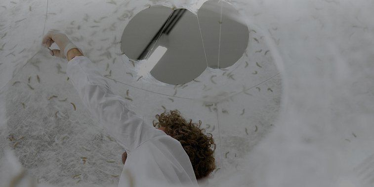 Abstract | Neri Oxman